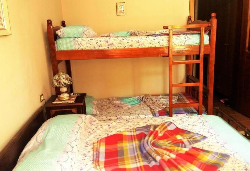 اتاق استاندارد با چشم‌انداز باغ, Pemaj Hostel