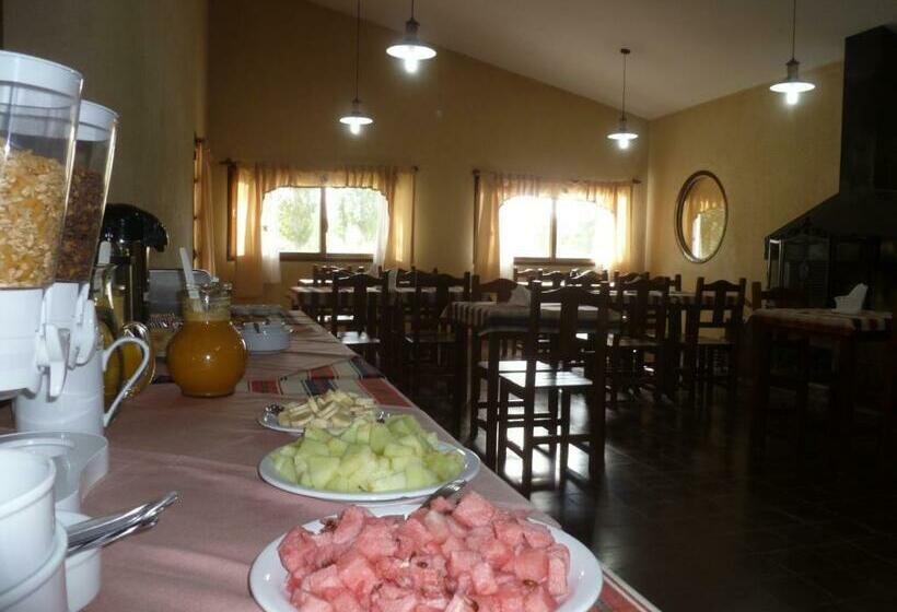 اتاق استاندارد, La Vicuñita Hotel & Cabañas