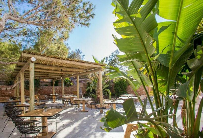 آپارتمان 1 خوابه با تراس, Sa Cala Suites