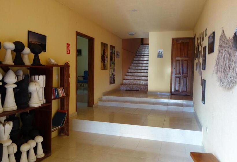اتاق خانوادگی با چشم‌انداز کوه, Hostal Tena ñaui