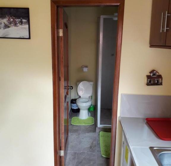 آپارتمان 1 خوابه با تراس, Hostal Tena ñaui