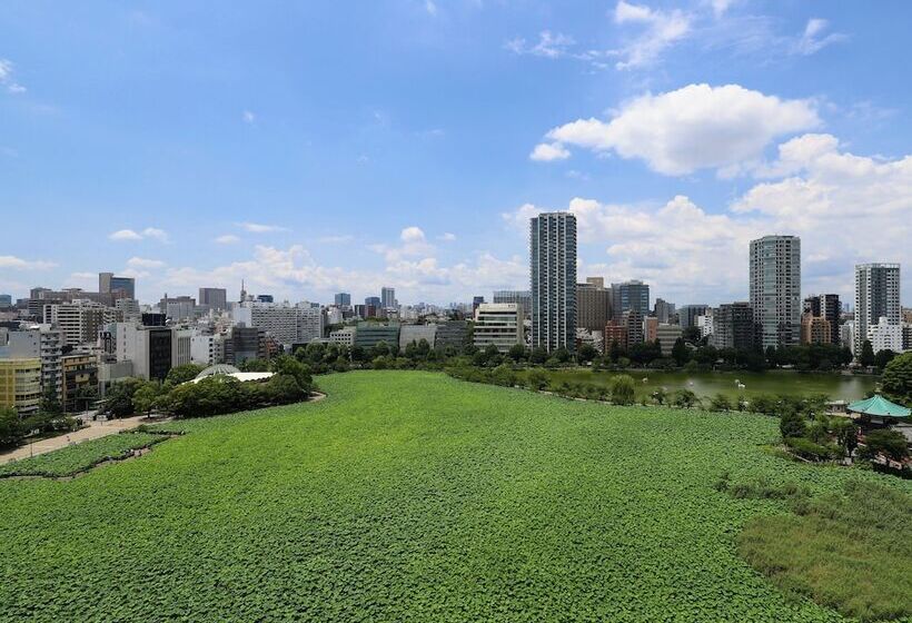 اتاق عادی یک تخته, Apa Hotel Keisei Ueno Ekimae
