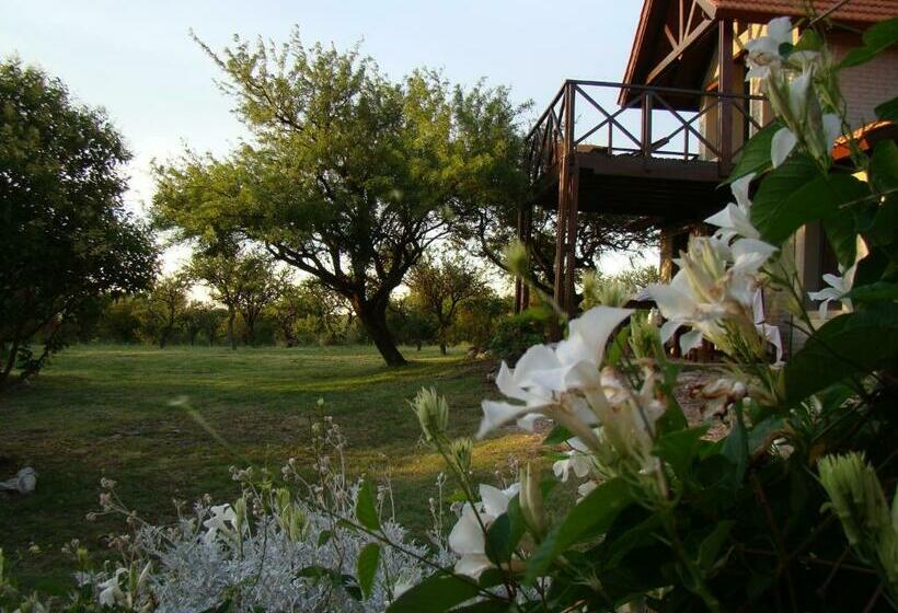 ویلای استاندارد با چشم‌انداز باغ, Cabañas Cerros Del Sol