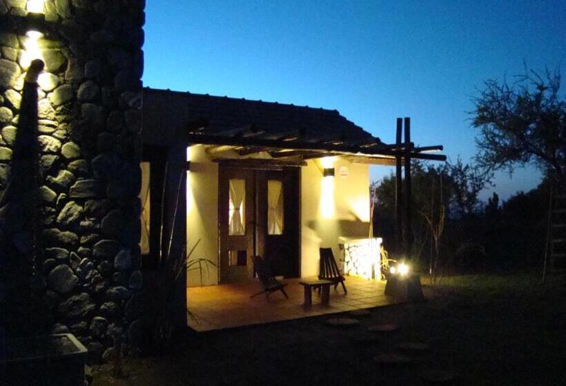 استودیو استاندارد با چشم‌انداز باغ, Cabañas Cerros Del Sol