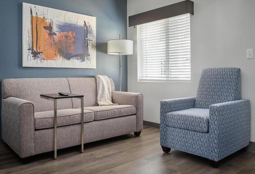 سوئیت با تخت بزرگ, Stayapt Suites College Station