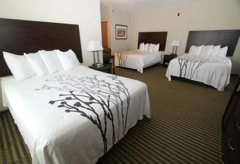 家庭间, Bowman Inn And Suites