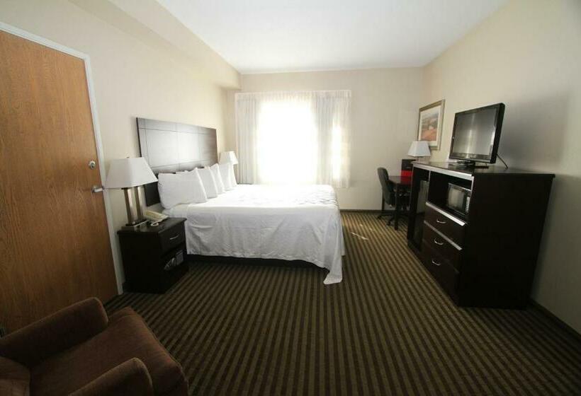 带大床的标准间, Bowman Inn And Suites