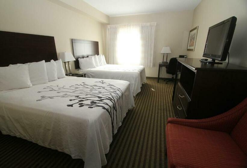 标准间, Bowman Inn And Suites