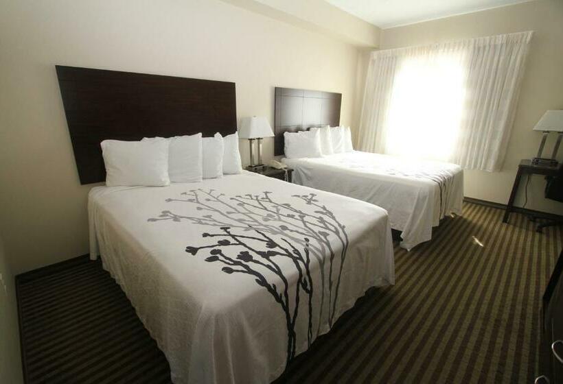 标准间, Bowman Inn And Suites