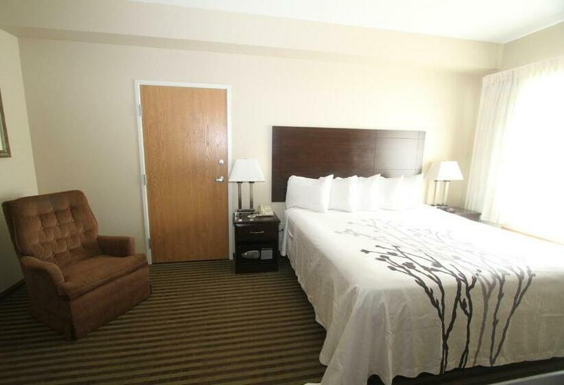 带大床的标准间, Bowman Inn And Suites