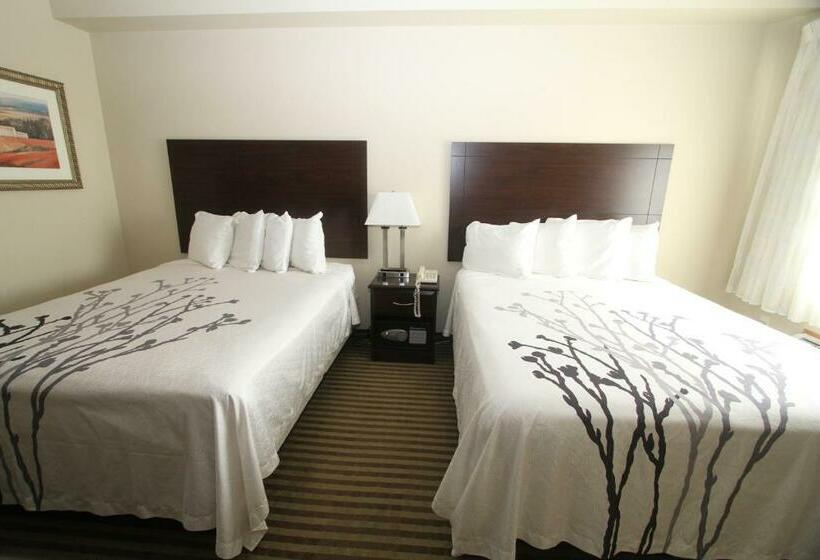 标准间, Bowman Inn And Suites
