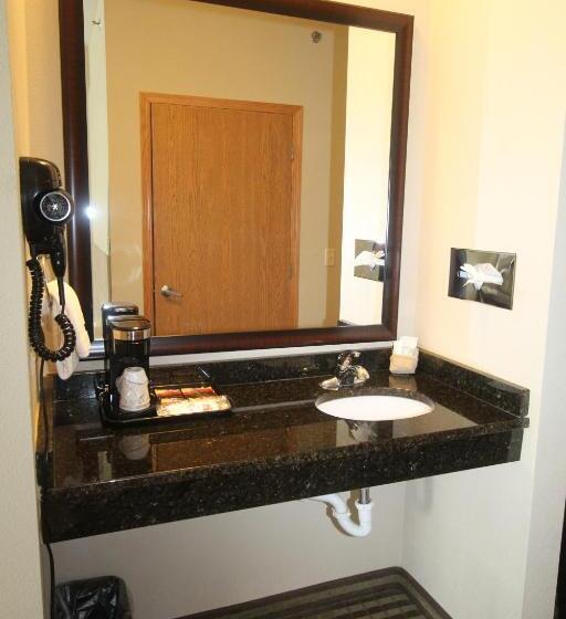 适合残疾人使用的标准间, Bowman Inn And Suites