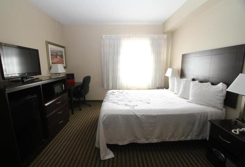 适合残疾人使用的标准间, Bowman Inn And Suites