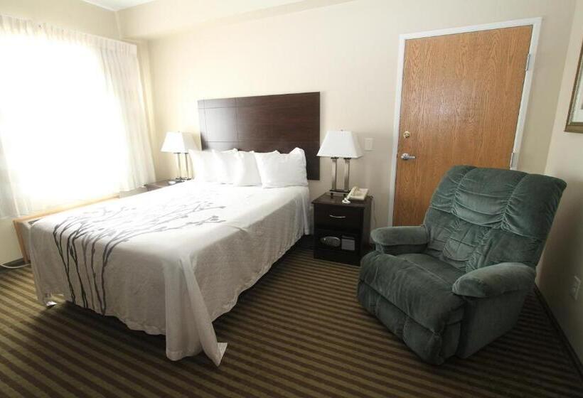 适合残疾人使用的标准间, Bowman Inn And Suites