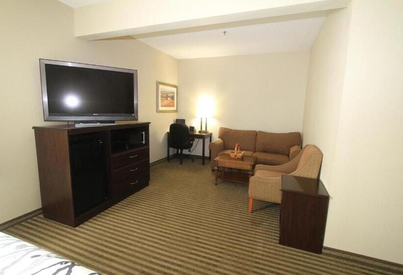 带大床的标准间, Bowman Inn And Suites