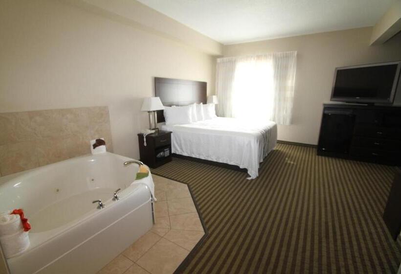 带大床的标准间, Bowman Inn And Suites