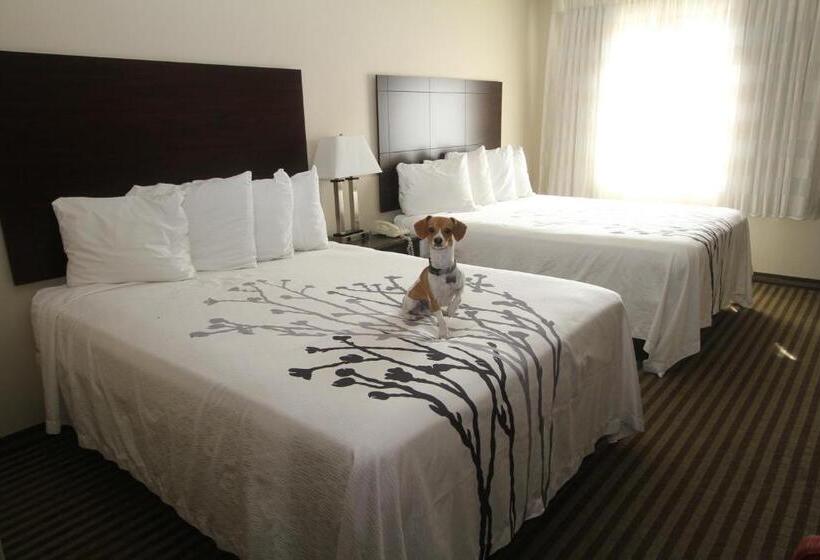 标准间, Bowman Inn And Suites