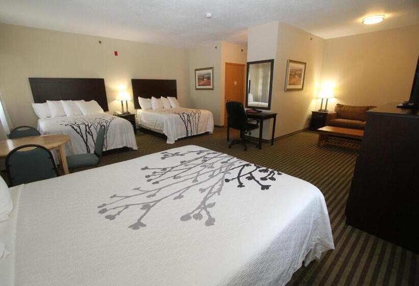 家庭套房, Bowman Inn And Suites