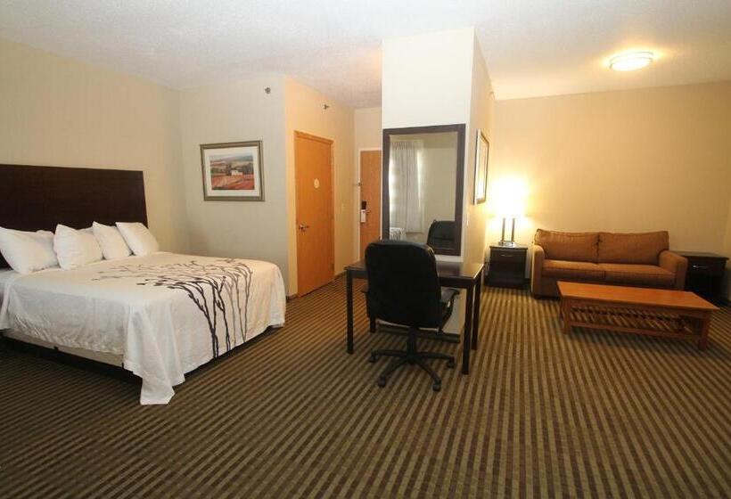 家庭套房, Bowman Inn And Suites