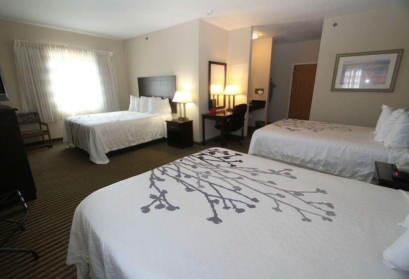 家庭间, Bowman Inn And Suites