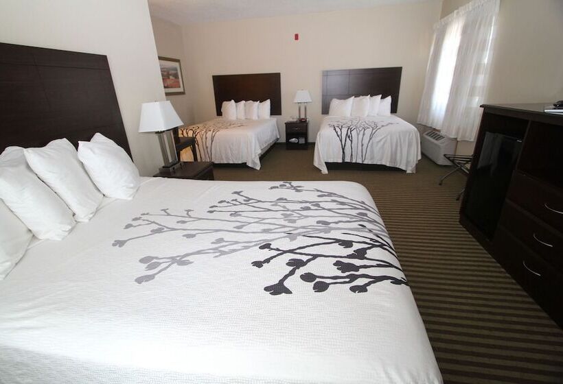 家庭套房, Bowman Inn And Suites