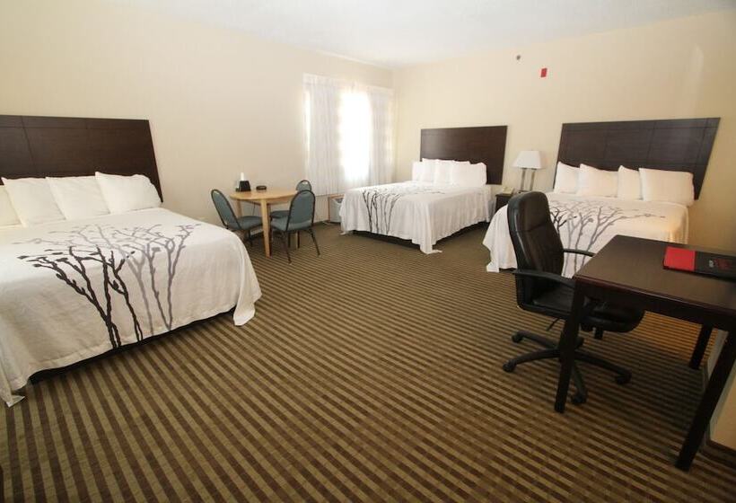 家庭套房, Bowman Inn And Suites