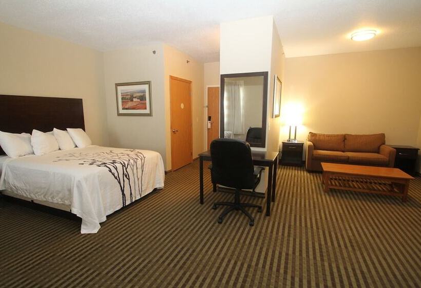 家庭套房, Bowman Inn And Suites