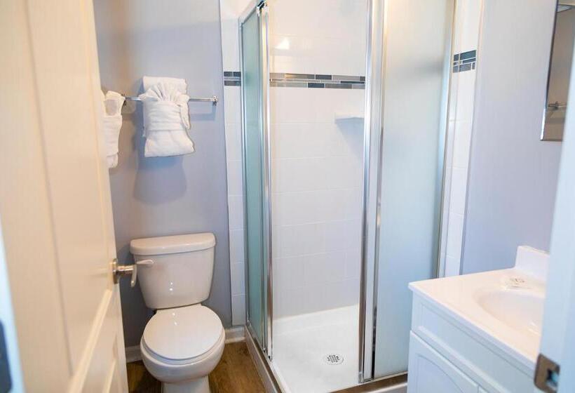 اتاق لوکس با تخت بزرگ, Chicago West Loop