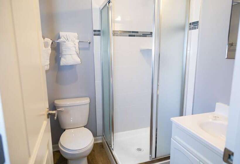 اتاق استاندارد با تخت‌های تاشو, Chicago West Loop