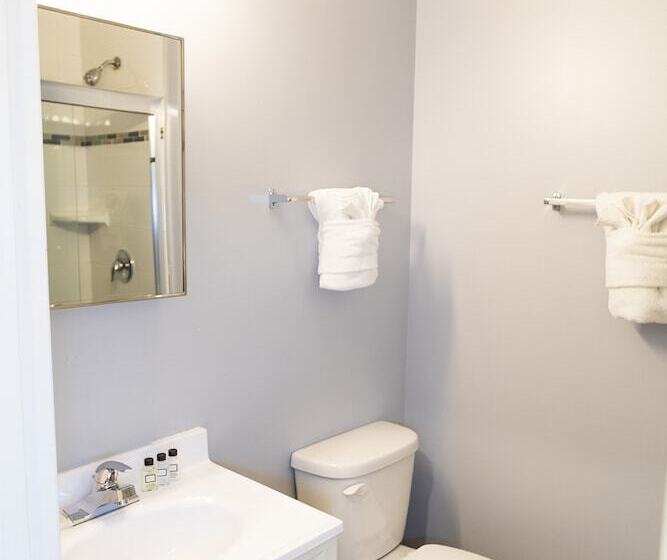 اتاق استاندارد با تخت‌های تاشو, Chicago West Loop