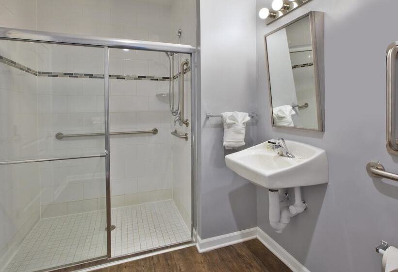 اتاق استاندارد با تخت‌های تاشو, Chicago West Loop