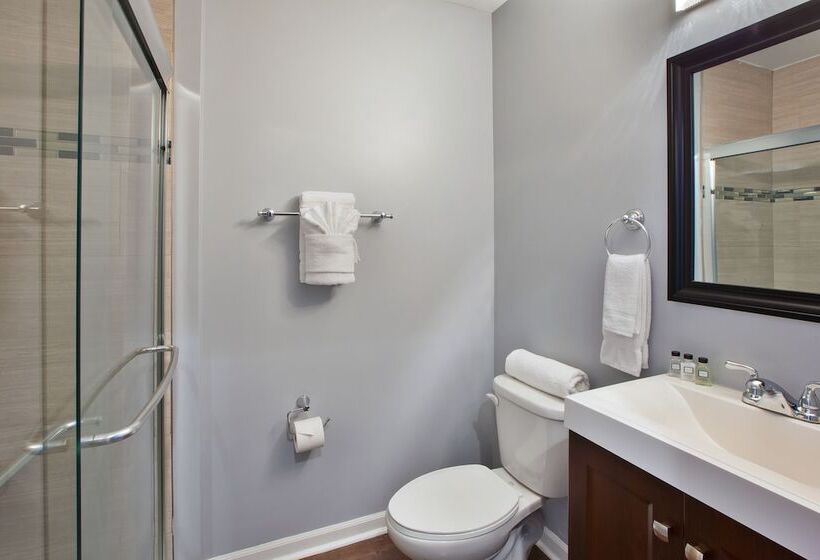 اتاق استاندارد با تخت‌های تاشو, Chicago West Loop