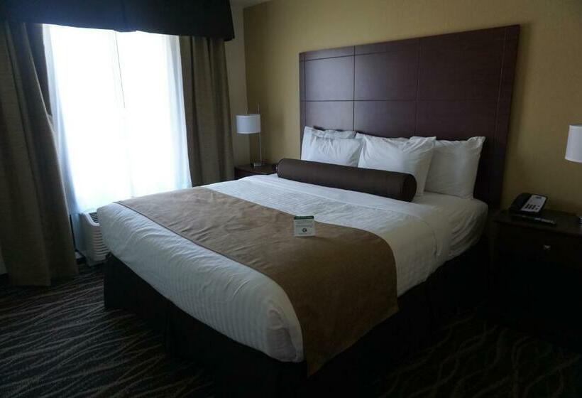 اتاق لوکس با تخت بزرگ, Cobblestone Hotel & Suites   Chippewa Falls