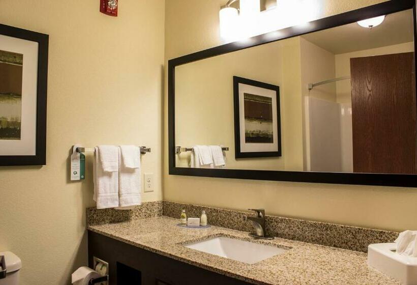اتاق لوکس با تخت بزرگ, Cobblestone Hotel & Suites   Chippewa Falls