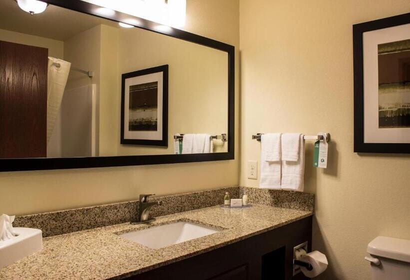 Suite, Cobblestone  & Suites  Chippewa Falls