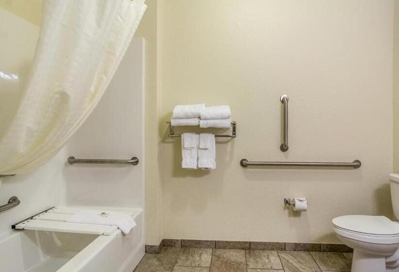 اتاق استاندارد با تخت بزرگ برای معلولان, Cobblestone Hotel & Suites   Chippewa Falls