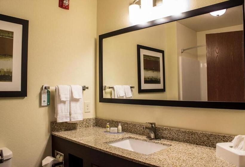 Standard Quadruple Room, Cobblestone  & Suites  Chippewa Falls