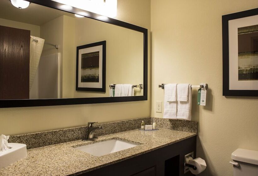 سوییت, Cobblestone Hotel & Suites   Chippewa Falls