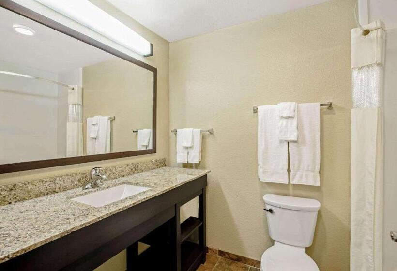 اتاق استاندارد با تخت بزرگ برای معلولان, La Quinta Inn & Suites By Wyndham Gillette