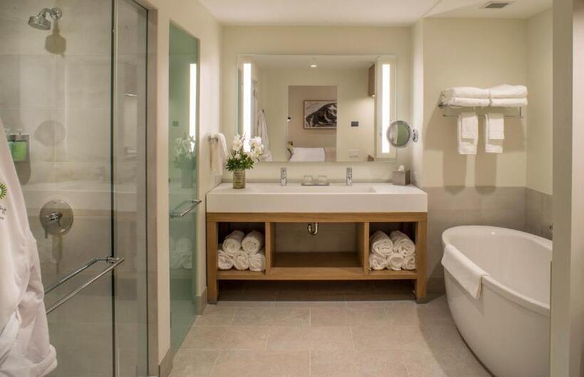 سوئیت با تخت بزرگ, Limelight Hotel Ketchum