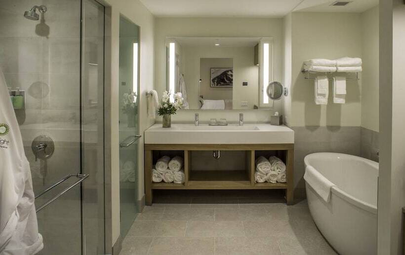 آپارتمان 3 خوابه, Limelight Hotel Ketchum