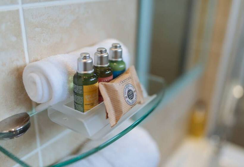 اتاق سوپریور با تخت بزرگ, Florence Suite Boutique Hotel And Restaurant