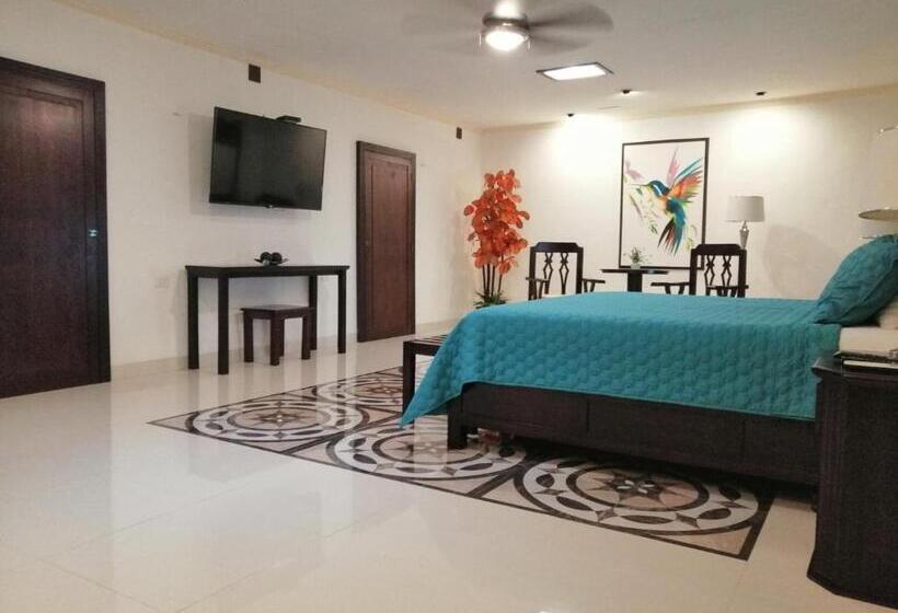 استودیو استاندارد با تخت کینگ, Casa San Roque Valladolid