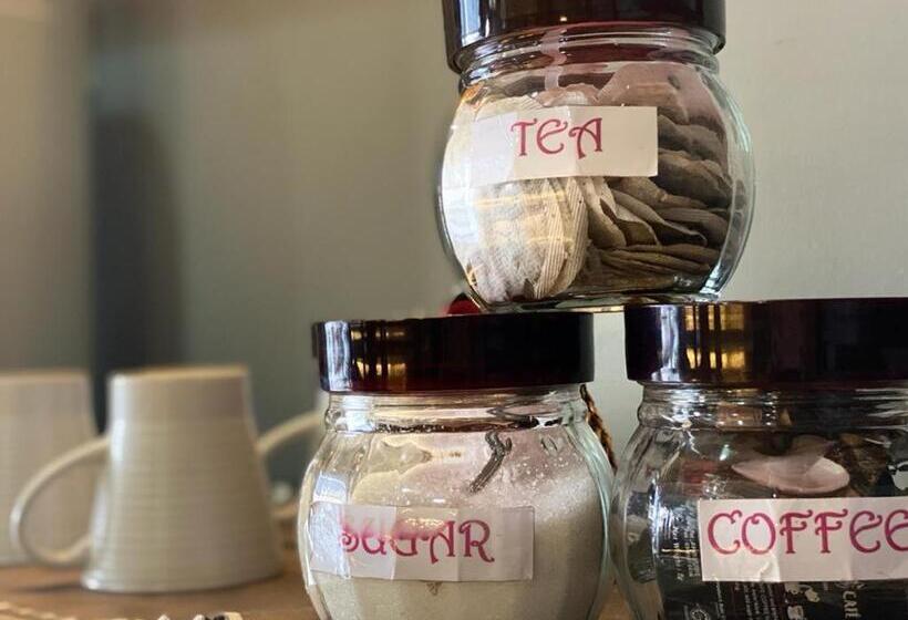 اتاق استاندارد یک نفره, Ct