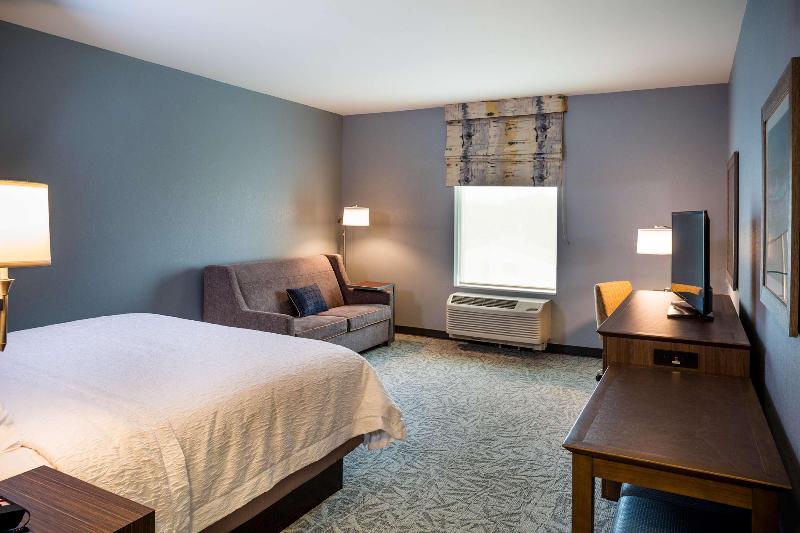 اتاق استاندارد با تخت بزرگ, Hampton Inn Atlantic City/absecon