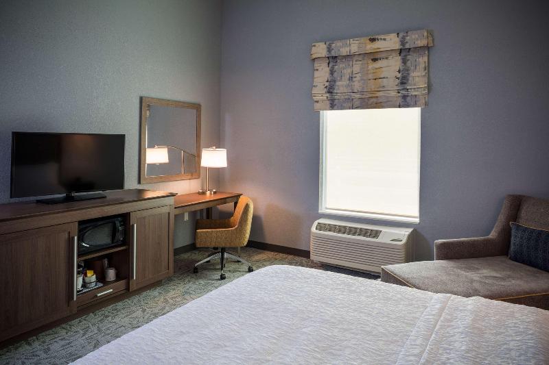 اتاق استاندارد با تخت بزرگ, Hampton Inn Atlantic City/absecon
