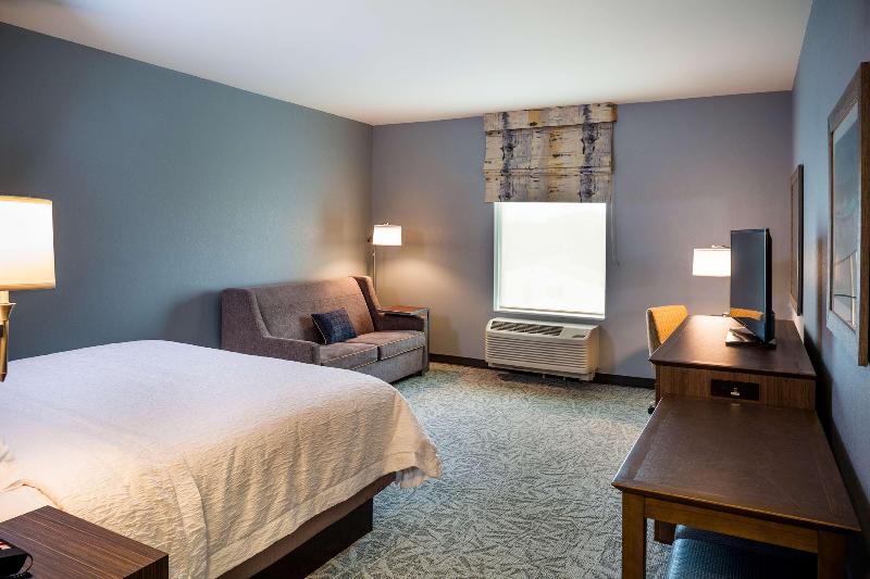 اتاق استاندارد با تخت بزرگ, Hampton Inn Atlantic City/absecon