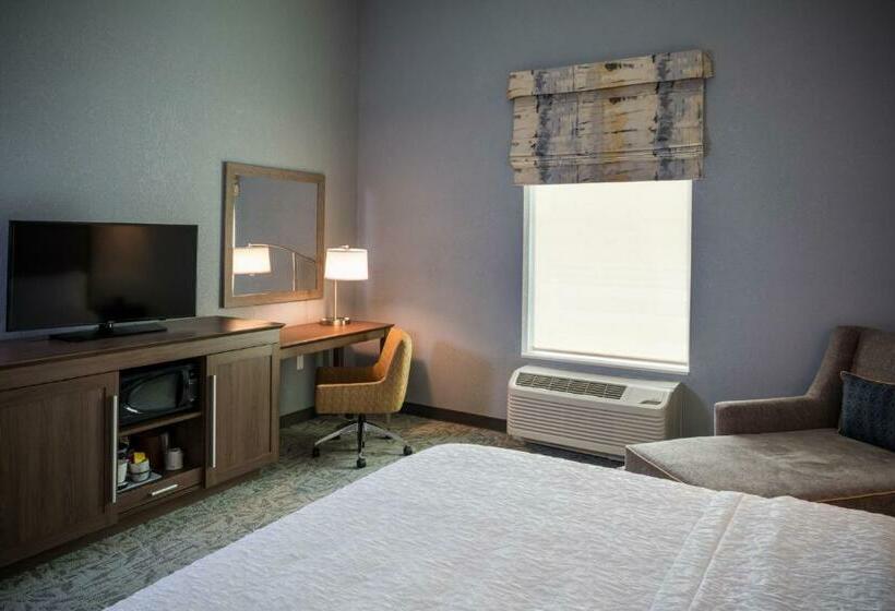 اتاق استاندارد با تخت بزرگ برای معلولان, Hampton Inn Atlantic City/absecon