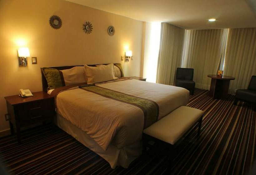 Standard Single Room Single Bed, Real Plaza Aguascalientes