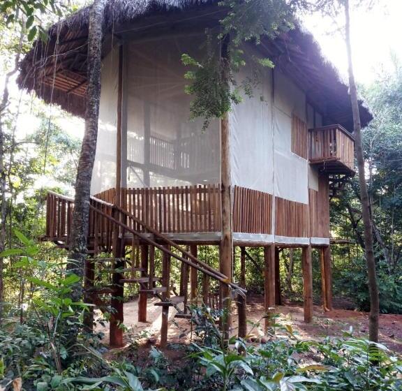 بانگلوی استاندارد, Ecoaraguaia Jungle Lodge
